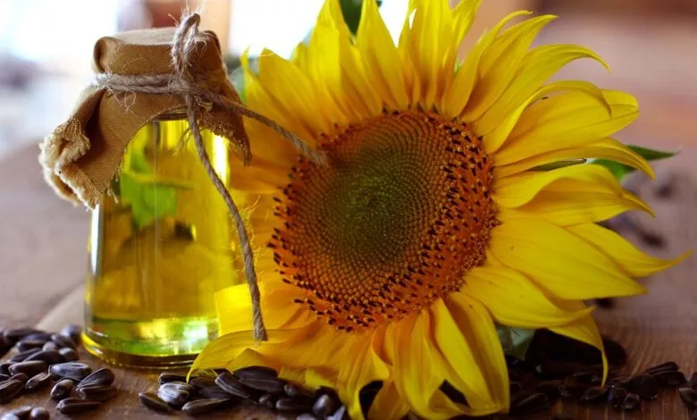 A descoberta que transformou minha rotina de skincare Girassol